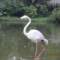 ゞ洎鈾鳥的头像