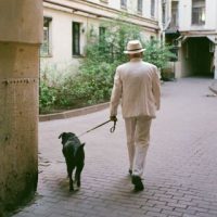 Does It Matter if Dogs Are Walked in the City or in Nature?