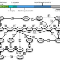 The New Science of Psychology and Evolution