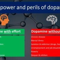 Is Dopamine Running Your Life鈥攐r Ruining It?