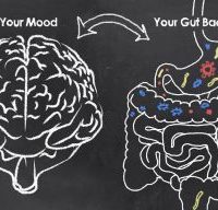 Depression, the Gut Microbiome, and Vitamins