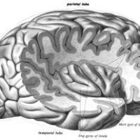 Hoarding Disorder: Complications and Insights